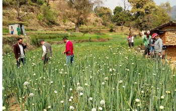 बैतडीमा सिप्रेडद्वारा सञ्चालित एनसाप परियोजनाको सरोकारवालाद्वारा अनुगमन 